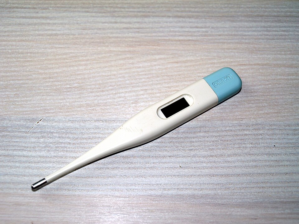 Digitales Omron-Kontaktthermometer als Symbolfoto; keine Abbildung der Beurer-Vergleichsmodelle